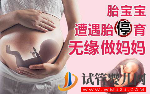 做好避免胎停才是泰國試管嬰兒的關鍵(圖1)