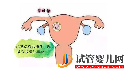 試管嬰兒檢查中子宮內(nèi)膜ABC型是什么意思(圖1)