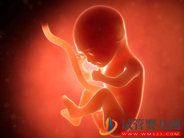 4個(gè)分辨生男女的方法超準(zhǔn)，最早滿8周即可驗(yàn)出性別(圖2)