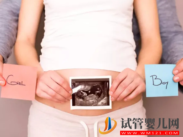 16周最明顯的女寶b超圖分享，看這三條線一眼便知！(圖1)