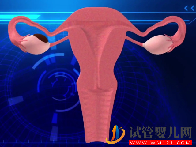 多囊、卵衰女患者沒卵泡不要慌，促排藥物助你一臂之力(圖1)