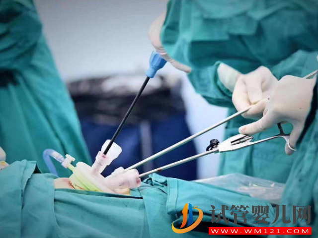 始基子宮生寶寶并非難事，這3種治療方案可圓你生育夢(圖4)