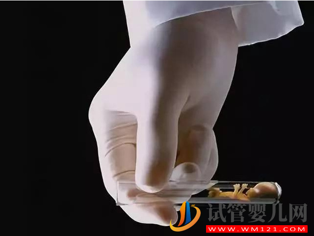 一代二代三代試管區(qū)別盤點(diǎn)，適用人群、價格差異化很大(圖1)