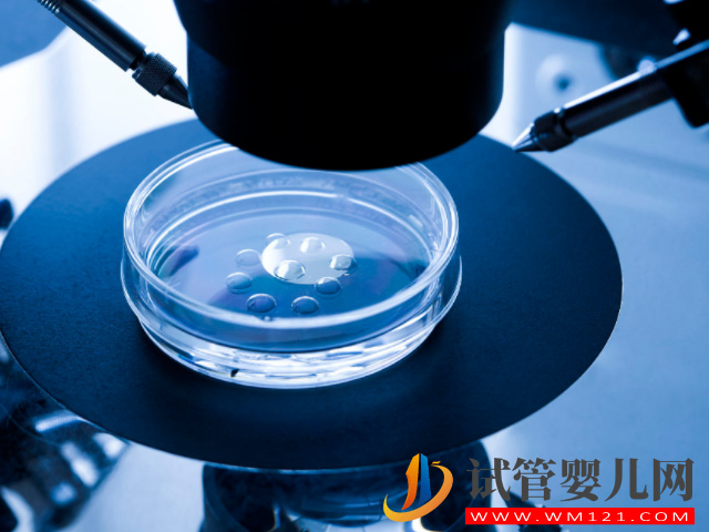 國外人工授精選擇孩子性別真相來了，看你滿足條件沒(圖2)