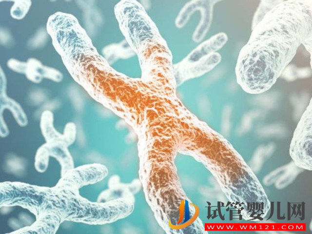 染色體數(shù)目異常遺傳病種類盤點(diǎn)，如有發(fā)現(xiàn)先咨詢?cè)賯湓?圖1)