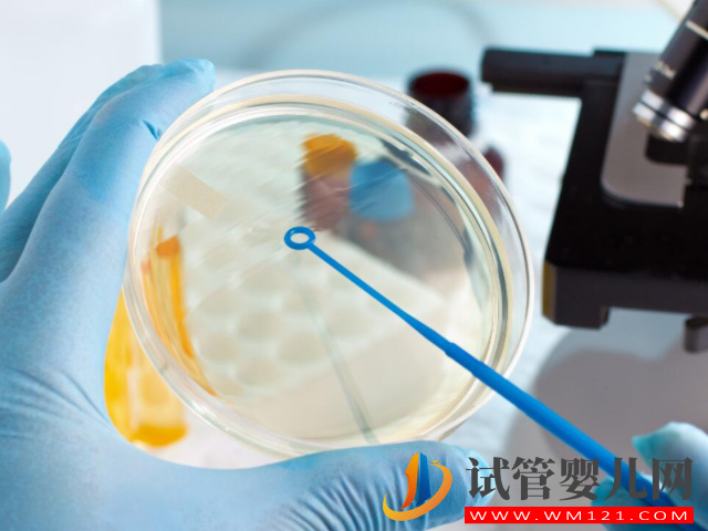 三代試管詳細流程講解，從前期檢查到移植大概就2至3個月(圖2)