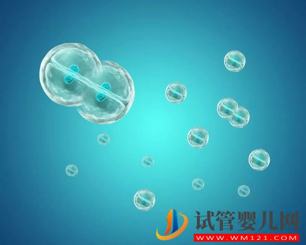 廣州供卵、地貧三代試管嬰兒費用明細(xì)，一看便知花多少(圖5)