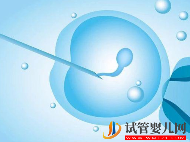 les在國外做試管生孩子需要哪些流程？(圖1)