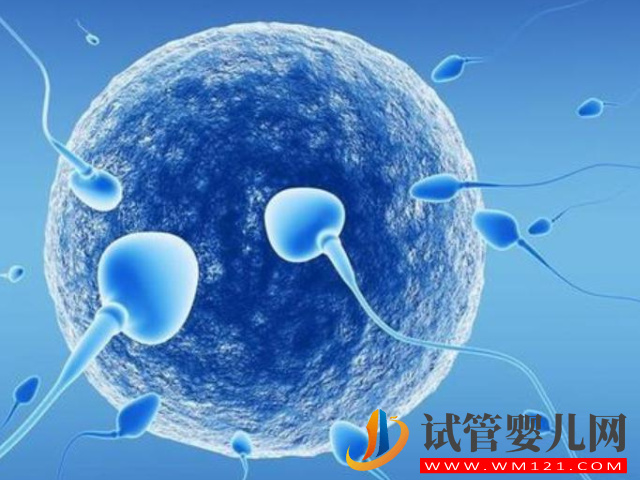 男性hiv通過試管可以生出健康寶寶嗎？(圖1)