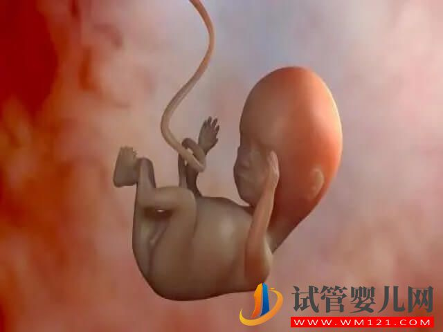 40歲女性在唐山做試管的成功率最高能達多少？(圖1)