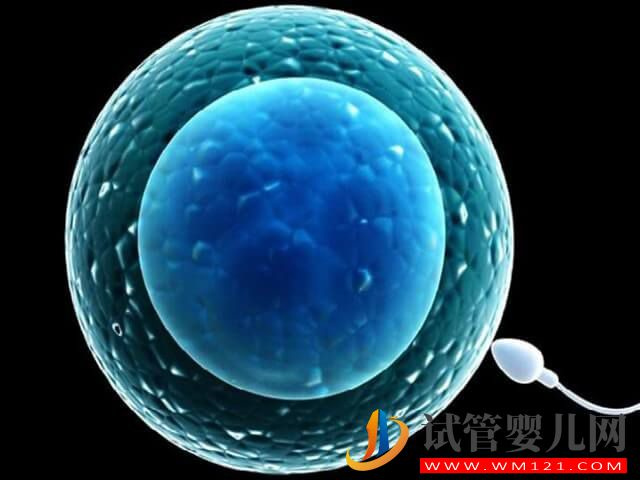 40歲高齡在唐山做一次供卵試管的成功率大概有多少？(圖2)