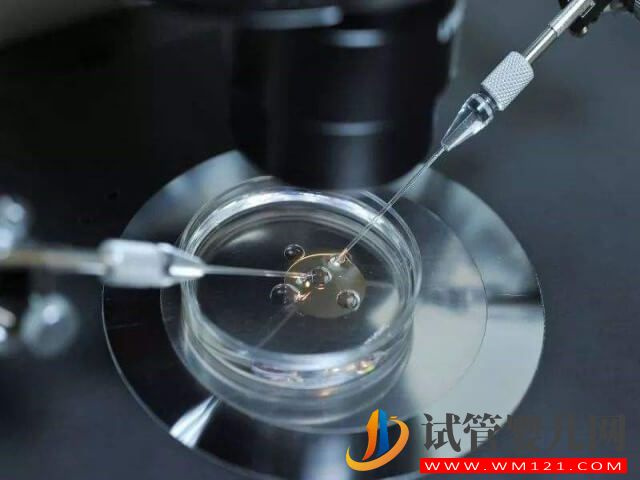 石家莊省二院生殖中心可以做一二三代試管嗎？(圖2)