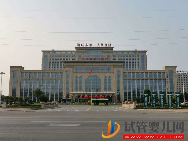 聊城試管嬰兒鮮胚移植做得比較好的醫院是哪家？(圖2)