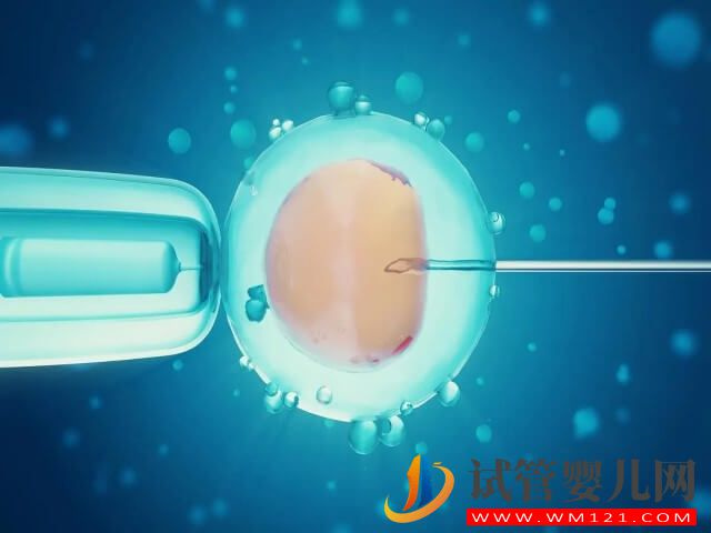 濰坊單周期試管嬰兒的總費(fèi)用大約是多少？(圖2)