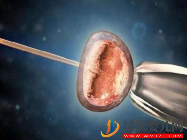 高齡女性在淄博做一次供卵試管的成功率大概有多少？(圖1)