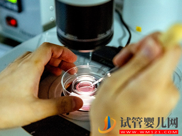 在太原正規(guī)醫(yī)院做一次試管供卵大概要多少錢？(圖2)