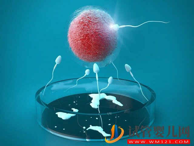 百色試管嬰兒一次就的成功的概率高嗎？(圖2)