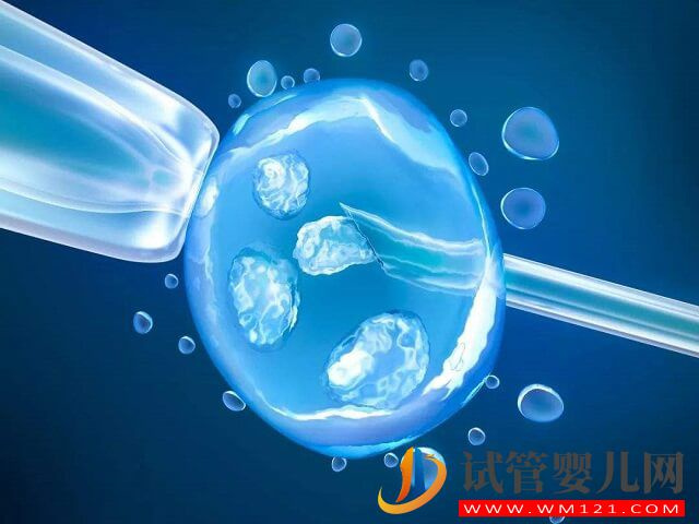 百色試管嬰兒一次就的成功的概率高嗎？(圖1)