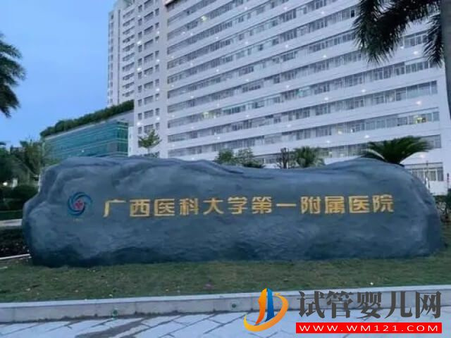 廣西哪個醫院做試管成功率高？(圖1)