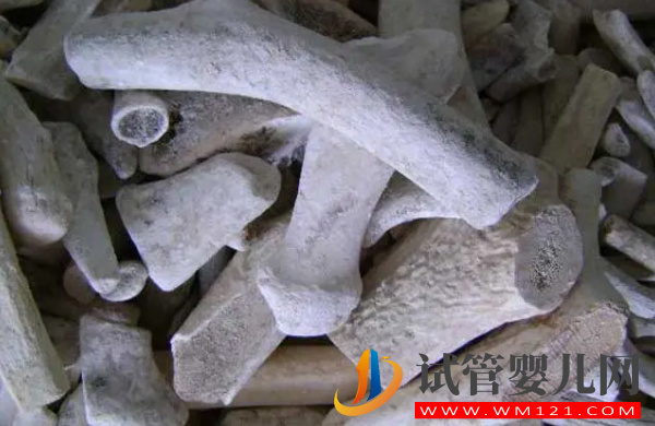 鹿角霜下奶煎煮方法一覽，一次喝多少克還真有規定(圖2)