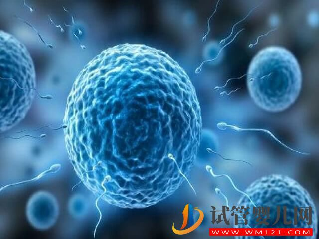 在香港做一次試管嬰兒怎么收費？(圖1)