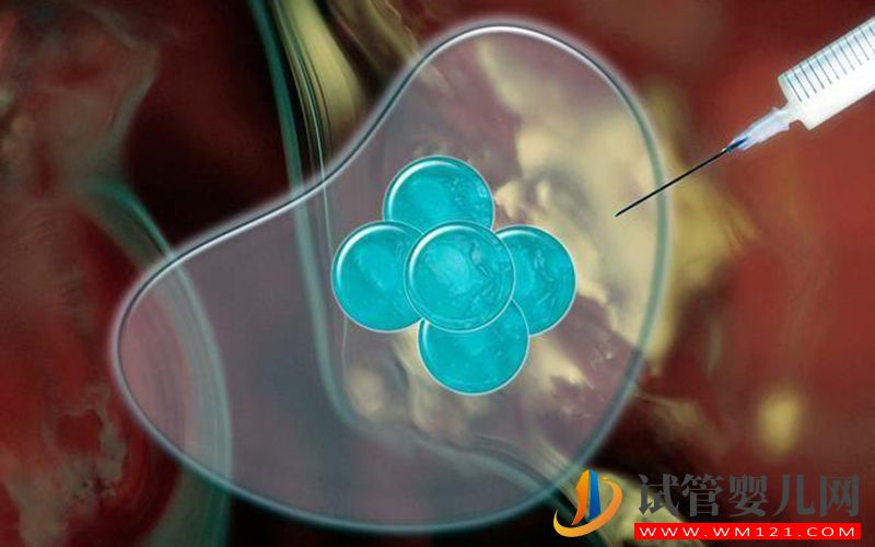 在香港做人工受孕要男孩需要多少錢？(圖1)