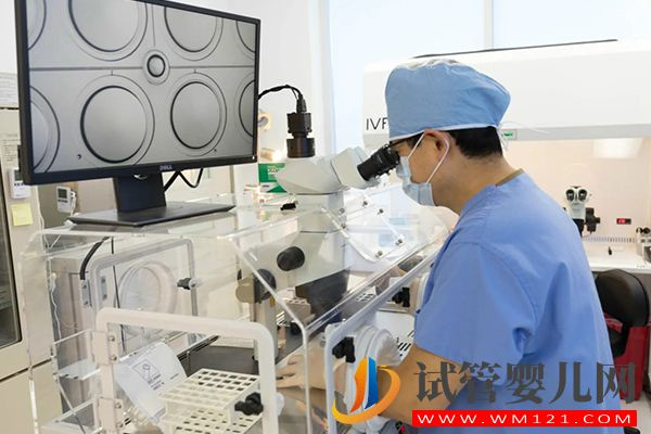 三代試管移植前有4項(xiàng)準(zhǔn)備，做PGD篩查可降患兒出生率(圖1)