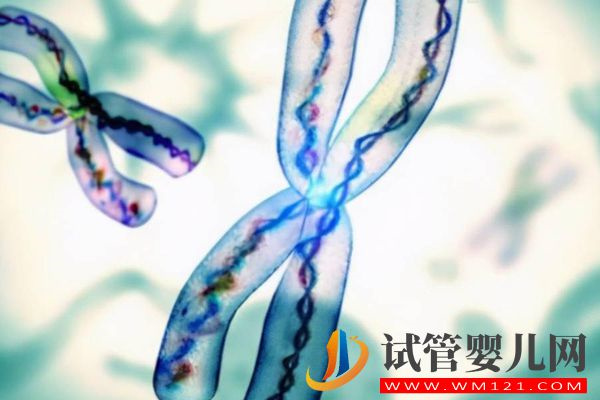胎兒染色體報告單這樣看是否正常，附3種看男女方法都說準(圖1)