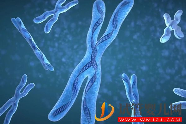 試管9周多胎停有3大原因，胚胎發育異常概率大是其一(圖2)