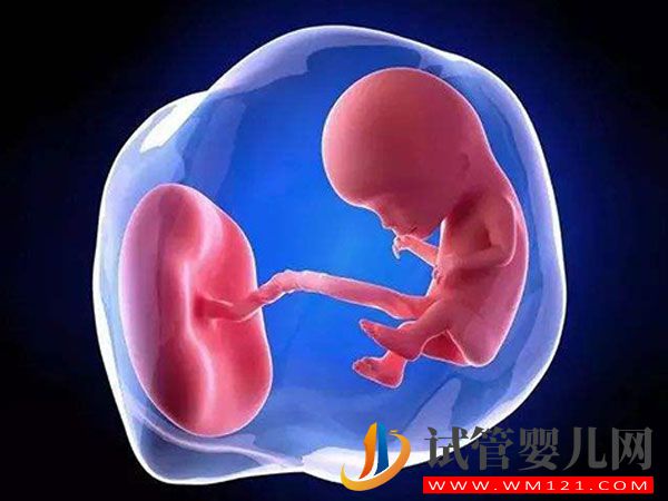 為什么試管同一天移植囊胚孕周會差一周？(圖1)