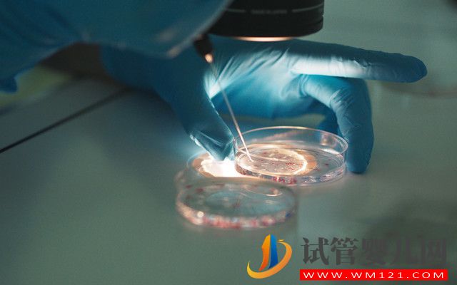 泰國試管嬰兒中介排名(圖2)