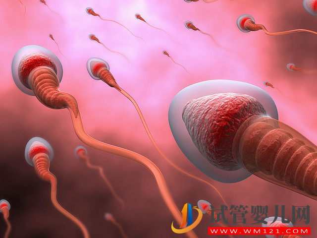 同房后判斷精子進入輸卵管的方法，沒生育需求做好緊急避孕(圖2)