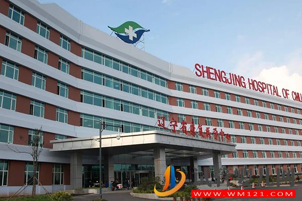 東北三省試管嬰兒好醫(yī)院推薦，排名第一非這家莫屬(圖3)