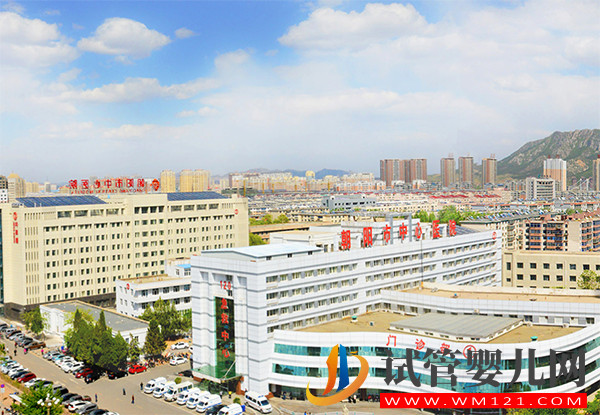 遼寧朝陽供卵機構大全，哪家助孕機構好看排行榜(圖2)