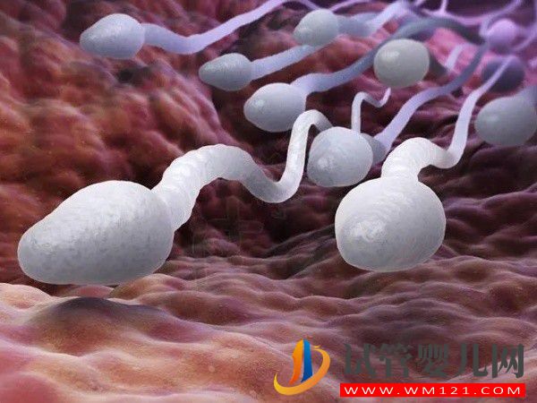 大連婦幼保健院能做供精試管嬰兒了嗎？(圖1)