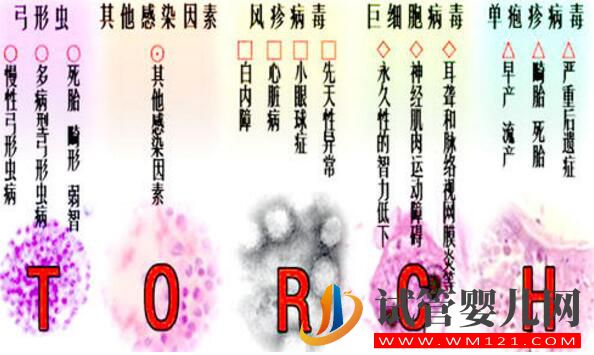 試管嬰兒前期檢查項(xiàng)目報(bào)告你看的懂嗎？看完就會(huì)了(圖7)