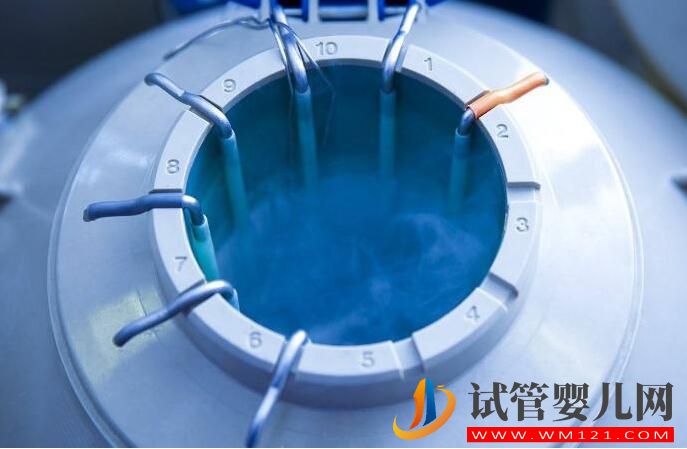 試管嬰兒鮮胚移植成功率高嗎？哪些情況不能移植鮮胚(圖2)