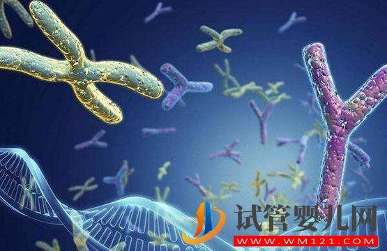 試管嬰兒的七個“較”你知道你知道幾個(圖1)