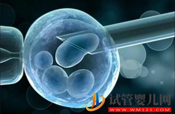 試管嬰兒的七個“較”你知道你知道幾個(圖4)