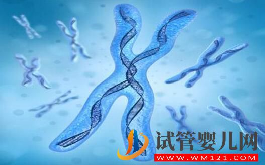 染色體平衡易位能做試管手術嗎 要注意哪些問題(圖3)