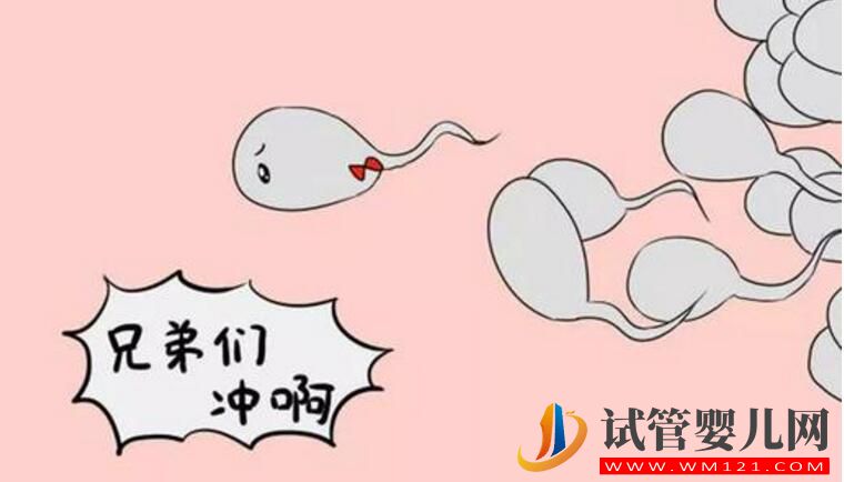 精子活力低做試管的成功率有是多少 如何有效提升成功率?(圖1)