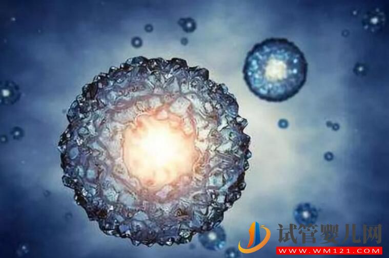 著床失敗的原因有哪些 成功后的有什么表現(圖2)