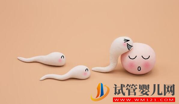 都勻胚胎移植后幾天會著床？有什么反應(圖2)