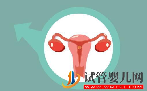 都勻胚胎移植后幾天會著床？有什么反應(圖3)