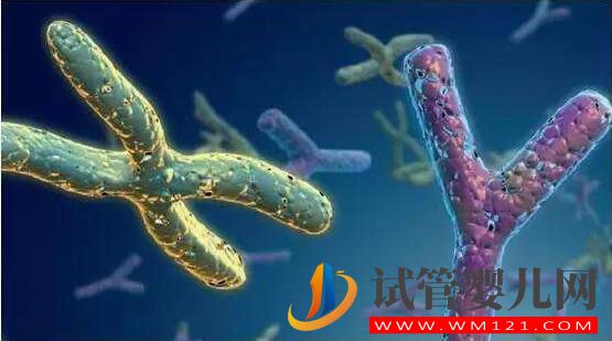 試管嬰兒前染色體檢查有必要做(圖2)