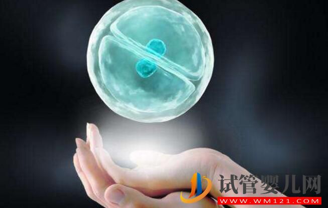 淄博試管嬰兒胚胎移植前、后都有哪些注意事項和常見的問題(圖1)