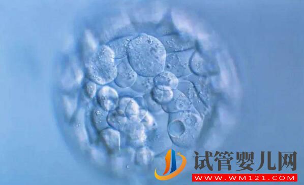 淄博試管嬰兒胚胎移植前、后都有哪些注意事項和常見的問題(圖2)