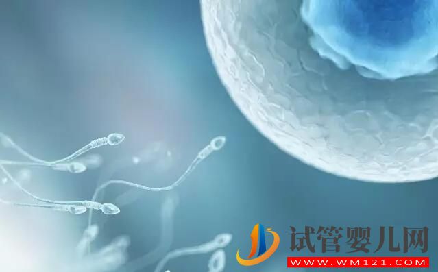 試管嬰兒檢查報告有效期是多長？各項檢查都一樣嗎(圖2)