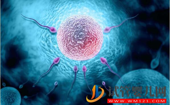 試管促排卵期間的注意事項和問與答(圖2)