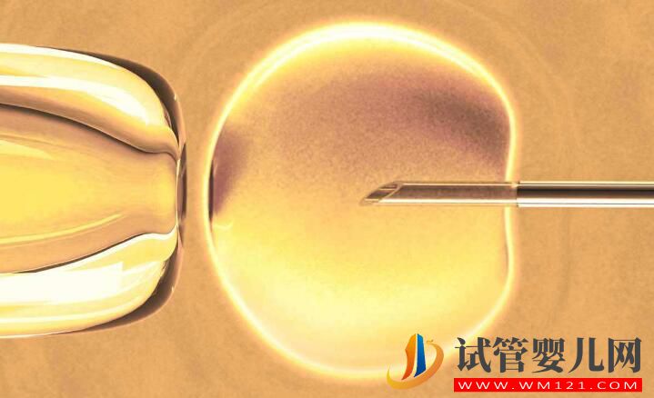 試管促排卵期間的注意事項和問與答(圖3)